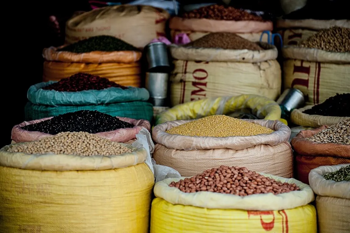 Alimentación y sostenibilidad