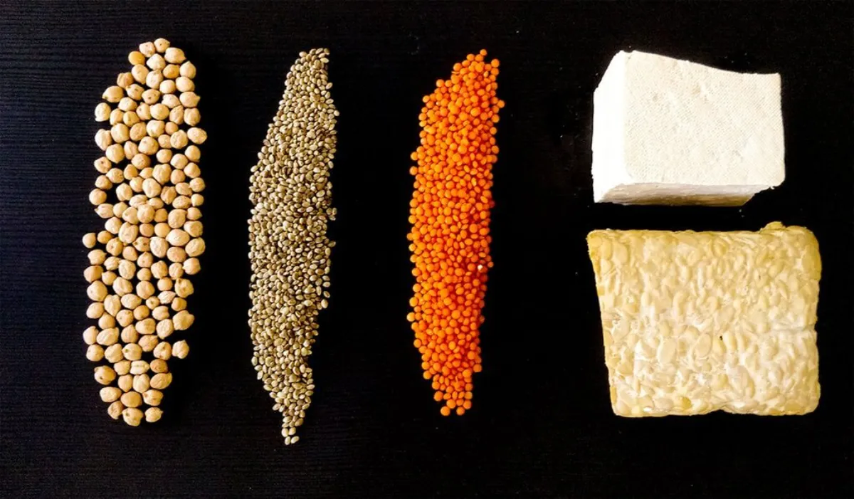 Las proteínas en la alimentación vegetariana y vegana